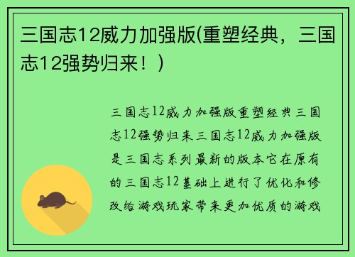 三国志12威力加强版(重塑经典，三国志12强势归来！)