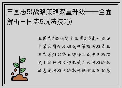 三国志5(战略策略双重升级——全面解析三国志5玩法技巧)